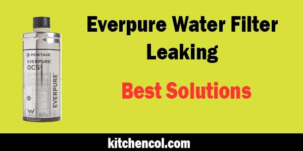 Everpure Water Filter Leaking-Best Solutions