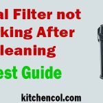 Fluval Filter not Working After Cleaning-Best Guide