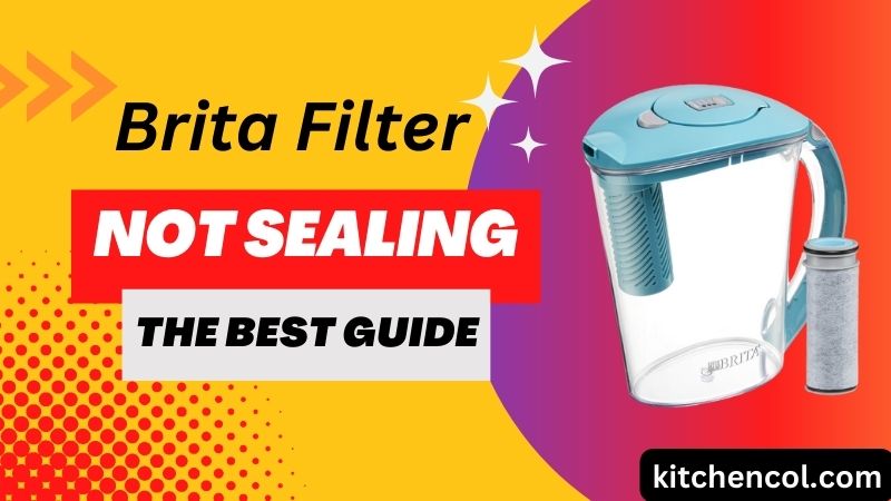 Brita Filter not Sealing-The Best Guide