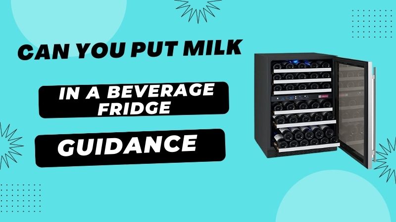 Can You Put Milk in A Beverage Fridge-Guidance