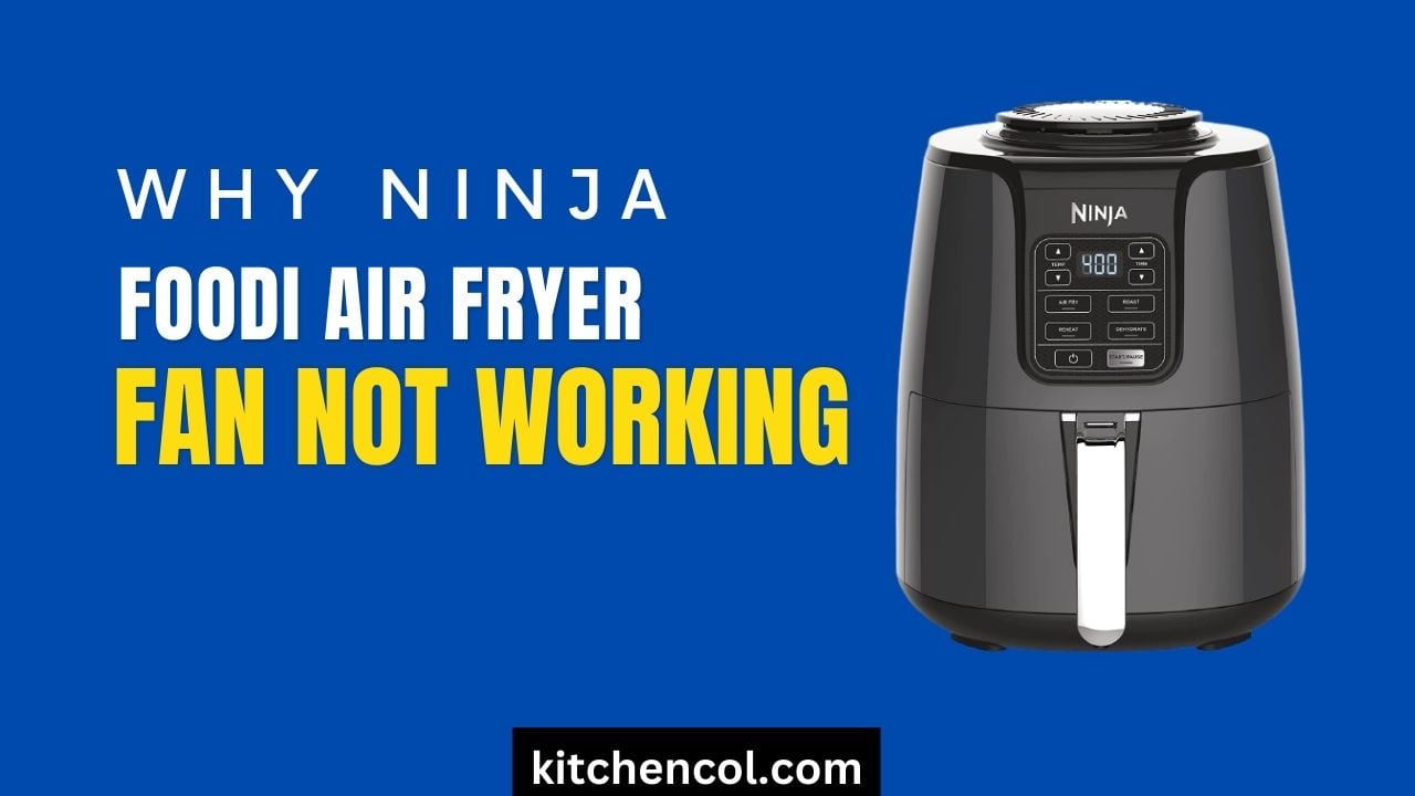 Why Ninja Foodi Air Fryer Fan not Working