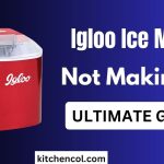 Why is Igloo Ice Maker Not Making Ice