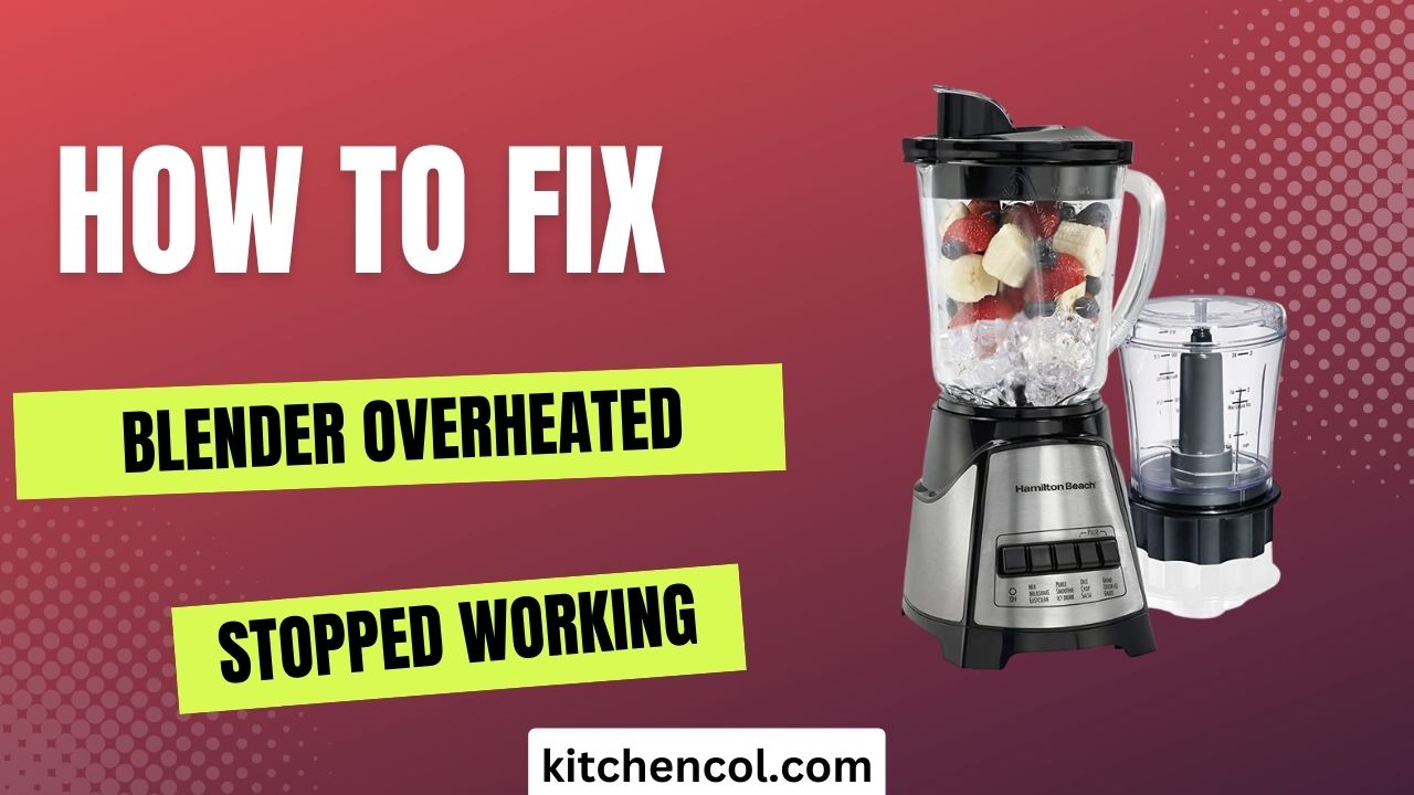How to Fix Blender Overheated Stopped Working