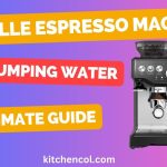 Breville Espresso Machine Not Pumping Water-Ultimate Guide