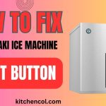 How to Fix Hoshizaki Ice Machine Reset Button