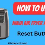 How to Use Ninja Air Fryer Max XL Reset Button
