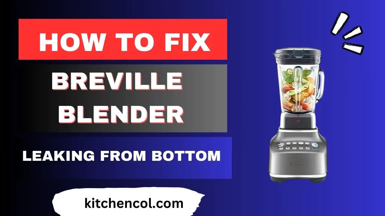 How to Fix Breville Blender Leaking From Bottom