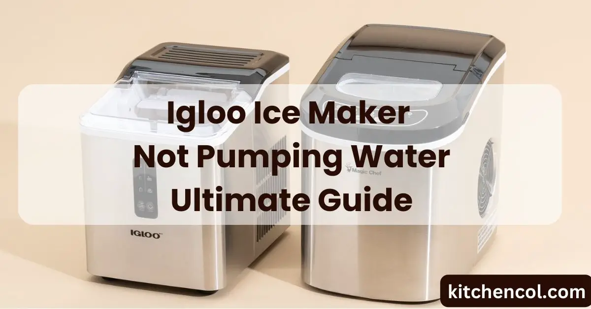 Igloo Ice Maker Not Pumping Water-Ultimate Guide